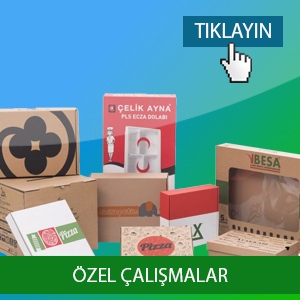 ÖZEL ÇALIŞMALAR