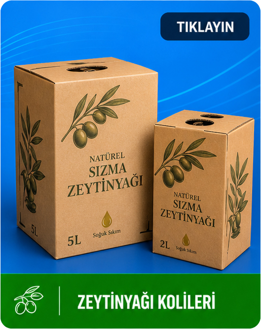 ZEYTİNYAĞI KOLİLERİ