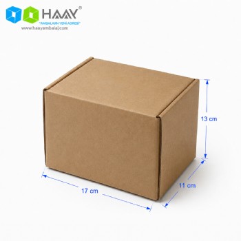 17x11x13 cm Kraft Kilitli E-Ticaret Kutusu
